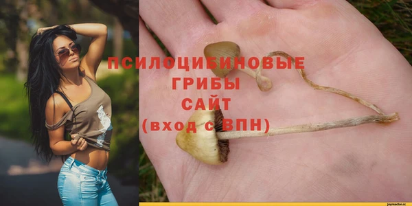 бошки Алексеевка