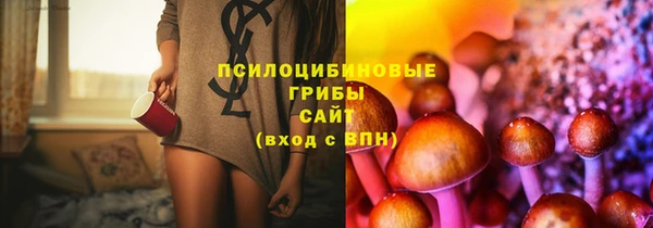 spice Алексин