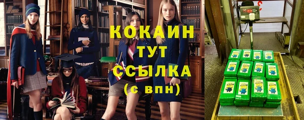 гашик Алзамай
