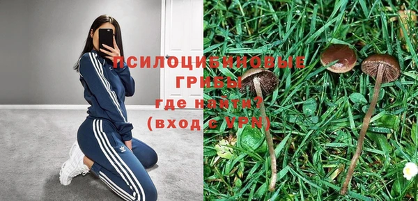 прущая мука Нея