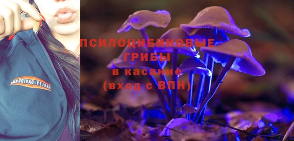 бошки Алексеевка